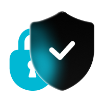 Financial-Grade Security